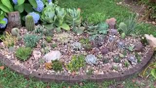 Outdoor succulent and cactus garden tour and how to [upl. by Damien2]