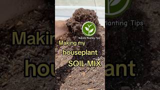 Making my houseplants SOIL Mix shortvideo plants youtubeshorts garden shorts viralvideo [upl. by Geno]