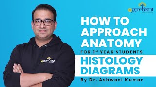 How To Approach Histology Diagrams  1st Year Students  Dr Ashwani Kumar [upl. by Acissev]