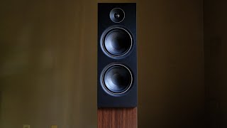 Review The PSB Alpha T20 Floorstanding Loudspeaker [upl. by Saville]