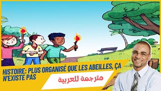 Lhistoire des abeilles Plus organisé que les abeilles ça n’existe pas [upl. by Triny]