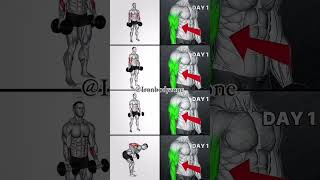 FULL GYM FITNESS WORKOUT  WORKOUT FROM HOME workout shorts [upl. by Eveivenej]