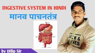 DIGESTIVE SYSTEM ll पाचनतंत्र ll digestive system anatomy ll DMC BODHGAYA ll dilip sir [upl. by Eentroc]