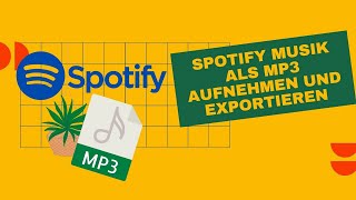 SpotifyMusik als MP3 exportieren [upl. by Richy483]