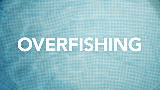 Overfishing [upl. by Peterec688]