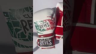 Step up your game with Cleto Reyes UK 💪🏽 [upl. by Ojillib]