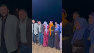 ŞEĞANİ KÖYÜ  ŞERİBAN amp CEZVET  KOMA WELAT amp FOTO GÜVEN  PART 06 kurdish halay ceylanpınar [upl. by Esirec91]