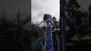 Diving Under the Pathway  Manta at SeaWorld San Diego [upl. by Milli]