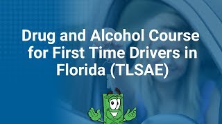 Drug and Alcohol Course for First Time Drivers in Florida TLSAE [upl. by Hyland]