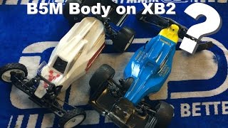 Xray XB2  Does a B5M Body fit [upl. by Meesak764]