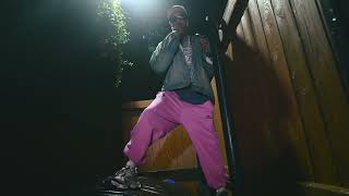 Wiz Khalifa  Bobbi Kush Official Music Video [upl. by Rawdon904]