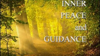 Guided Meditation Secrets in the Forest Inner PEACE and GUIDANCE [upl. by Merlina]