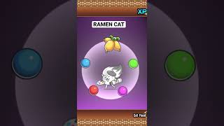 Evolving Ramen Cat battlecats [upl. by Barbee929]