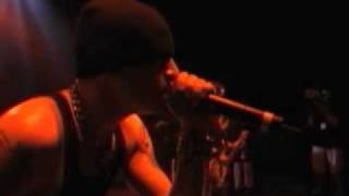 Crawling Live Video Version  Linkin Park [upl. by Kobi]