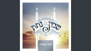 Vhoyi feat Shloime Daskal Sfira [upl. by Troxell]