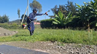 Trimming the yard Easy care of lawn [upl. by Anerehs]