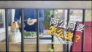 Costco标错价 三文鱼白菜价拿回家被骂惨 斗胆帮人说两句【Garden Time 田园生活分享】2024 7 [upl. by Surbeck]