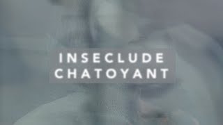 inseclude chatoyant [upl. by Irrabaj]