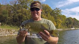 SMALLMOUTH BASS FISHING UPPER POTOMAC RIVER FLUKE SHAKY HEAD DROP SHOT [upl. by Faydra126]