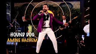 AMiNE HACHEM  Hound Dog Live Performance [upl. by Trixy151]