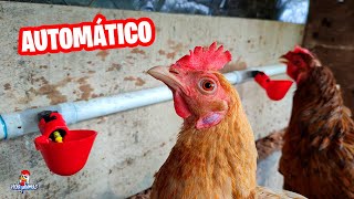 Cómo instalar BEBEDEROS AUTOMÁTICOS para gallinas 🐔🐓 Crea tu Propio Sistema Automatizado [upl. by Alviani]