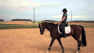 How to improve your Sitting Trot [upl. by Torrlow]