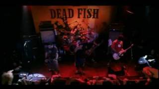 Dead Fish  Queda Livre  MTV Apresenta [upl. by Idhem]