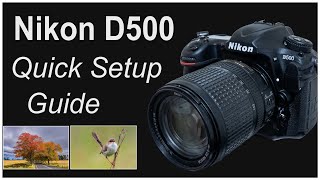 Nikon D500 Quick Setup Guide  How I Customized My D500 [upl. by Weidman768]