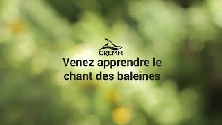 Cours chants de baleines du Centre dinterprétation des mammifères marins [upl. by Donny]