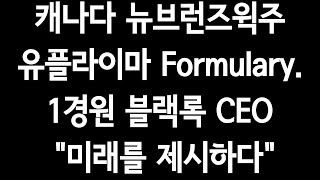 캐나다 뉴브런즈윅주 유플라이마 Formulary1경원블랙록CEOquot미래를 제시하다quot수백배폭등은quot4차산업quot [upl. by Gunas682]