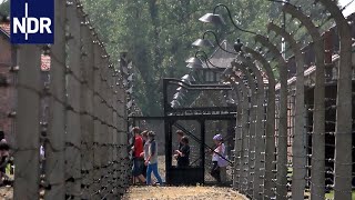 7 Tage Auschwitz  ein musikalisches Experiment  7 Tage  NDR Doku [upl. by Sorodoeht]