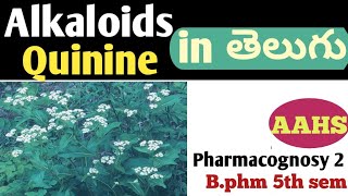 Quinine in తెలుగు b pharm 5th sem  pharmacognosy 2 unit 3 [upl. by Salvadore]