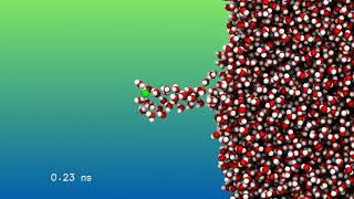 Ion evaporation from vaporwater interface constant velocity [upl. by Llessur683]