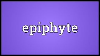 Epiphyte Meaning [upl. by Tosch449]