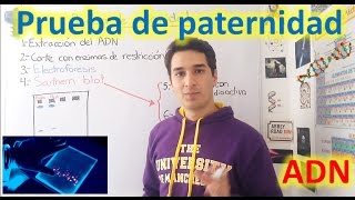 Prueba de paternidad Nivel Genético EN 7 MINUTOS [upl. by Ermeena898]