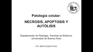 Clase 5 Necrosis apoptosis y autólisis Dra Virginia Perez [upl. by Culliton274]