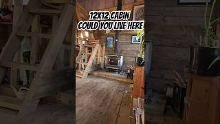 12x12 Cabin Could You Live Here [upl. by Derwood432]