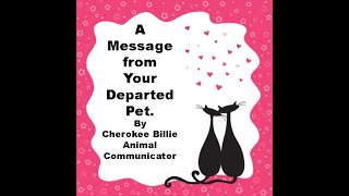 A Message from Your Departed Pet [upl. by Ahsiyn]