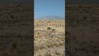 DOES IT GET WINDY IN CARRIZOZO NEW MEXICO [upl. by Yrtneg]