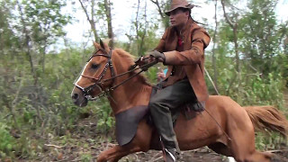 trailer PEGA DE BOI fazenda Buqueirão comemorando 1000 inscritos [upl. by Monaco]