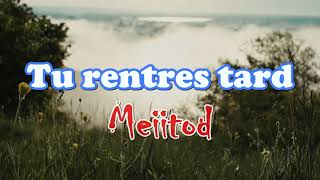 Meiitod Tu rentres Tard LyricsParoles [upl. by Nicolai71]