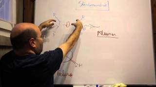 Chimie Organique  Stéréoisomères de conformation Newman [upl. by Aurelius]