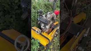 Weeding and grass cutting machineviralvideo grass tools decoration foryou [upl. by Lani]