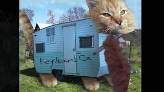 Keyboard Cat tagging his own trailer [upl. by Kleinstein]