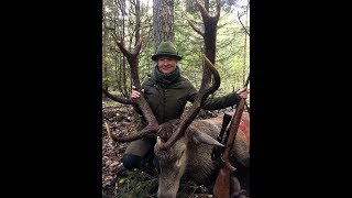 Red Stag hunting quotMetsapoolequot S2E5 [upl. by Atinej]