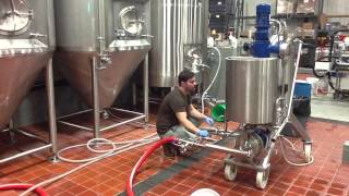 Filtering Beer [upl. by Mehsah]