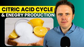 The Important Role of the Citric Acid Cycle in Cellular Respiration [upl. by Eugatnom]