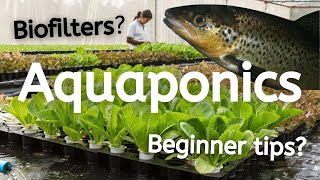 What is Aquaponics and How Does it Work [upl. by Matilde]