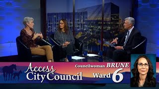 Access City Council with Nancy Brune [upl. by Calista]