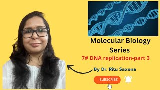 DNA replication in prokaryotes Ecoli [upl. by Corso]